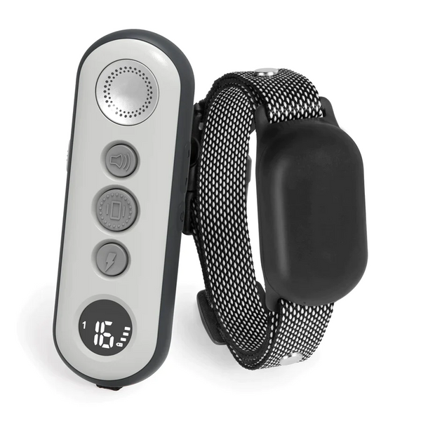 Aetertek New Zealand Dog Training Collars and Dog Shock Collars