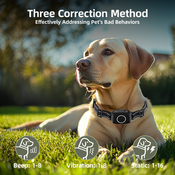 Barktec 2-in-1 Anti-Bark and Remote Training Collar